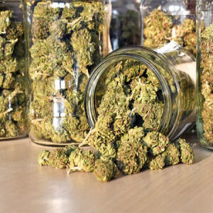 INDICA